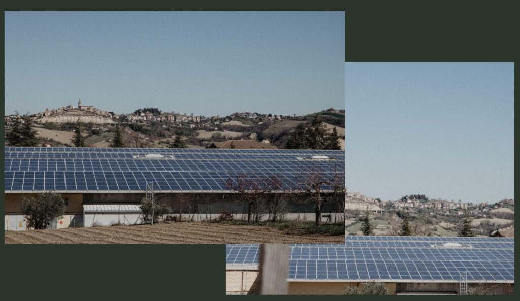 About us | Spinelli Parquet