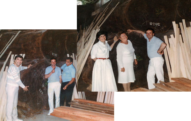 About us | Spinelli Parquet