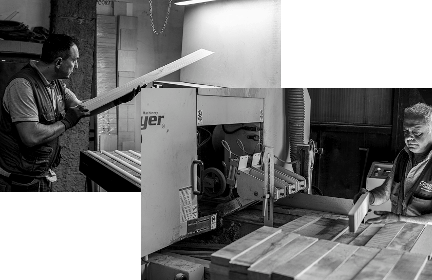 spinelli who we are 2025